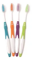 Comprar Freshmint (paquete De 100) Cepillos De Dientes Premium Mango