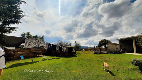 Hermoso Rancho De 10 Hectáreas Con Casa