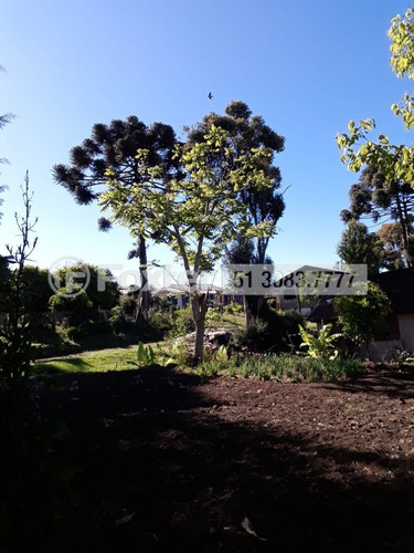 Imagem 1 de 7 de Fazenda / Sítio / Chácara, 3 Dormitórios, 300 M², Bairro Do Moinho - 202976