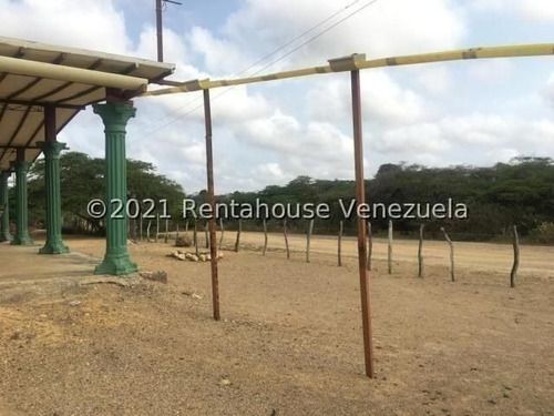 Imagen 2 de 15 de Casa De Campo En Venta Ubicada En Pueblo Nuevo. Paraguana