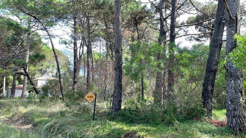 Imagen 19 de 22 de Lote Venta Zona Norte Pinamar - Lote 9