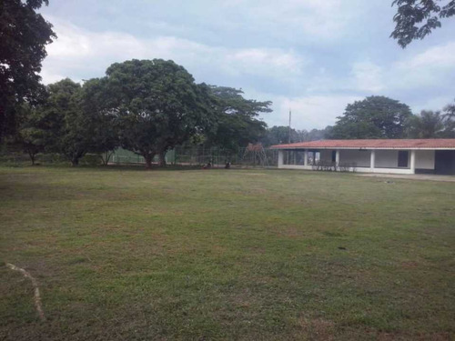 Imagen 4 de 17 de Finca En Venta Calabozo Edo.guárico