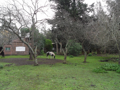 Imagen 9 de 30 de Latorre Prop Vende Campo De 4 Hectareas,cerca De La Ruta 11,del Mar Y Playas,varios Usos,hermosa Arboleda
