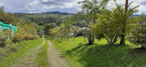 Imagen 18 de 28 de Hermosa Finca En Venta Marinilla