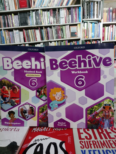 Beehive Workbook 6+ Student Book (with Online Practice) 