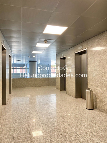 Imagen 16 de 17 de Arriendo Remodelada Y Luminosa Oficina, Metro Los Leones