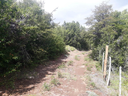 Imagen 6 de 12 de Sobre Ruta 40 - El Foyel