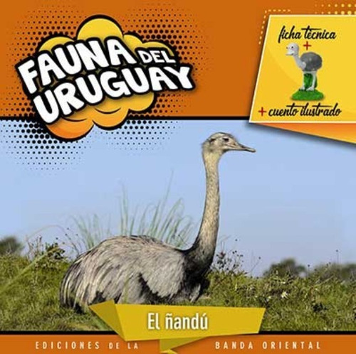 Fauna Del Uruguay: El Ñandú / Enviamos