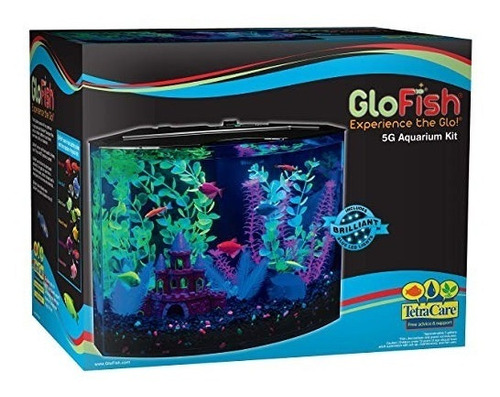 El Glofish 5 Galones Kit De Media Luna Acuario