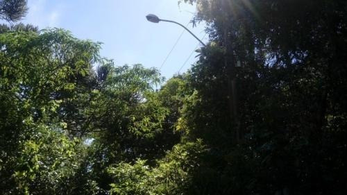 Imagem 6 de 6 de Área Para Compensação Ambiental - Itanhandu 6488 | A.c.m