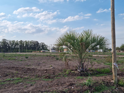 Venta Terreno Longchamps - Lote Barrio La Arbolada