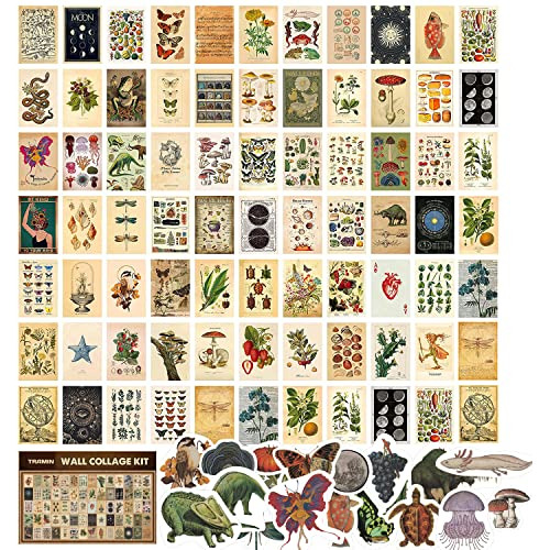 100 Pcs Pósteres Vintage, Kit De Collage De Fotos, Dec...