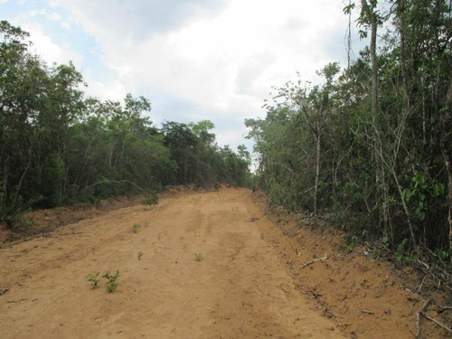 Imagem 13 de 15 de Terreno Para Venda Em Esmeraldas, Floresta Encantada - T23_1-1019445