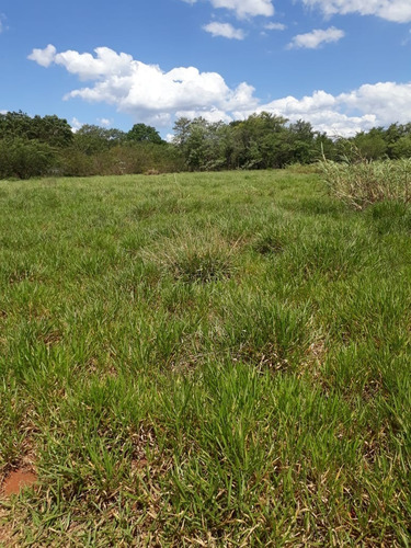 Chacara 3 Alqueires,rico Em Agua,casa Boa 7 Km De Itapetininga - Ch00050 - 68773733