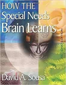 Como Aprende El Cerebro De Necesidades Especiales