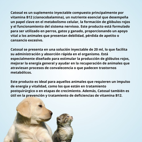 Catosal Vitamina B12 / Inyectable 100ml