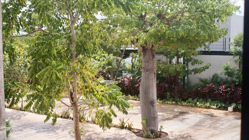 Imagen 29 de 30 de Townhouse En Renta En Privada Návita, Sta. Gertrudis Copó. 2
