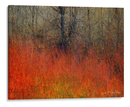 Canvas Lab Cuadro Hierba Roja Ii 100x75, Chris Vest