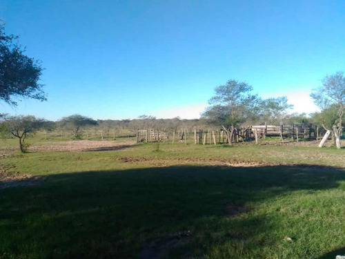 Imagen 3 de 8 de Chacra En Venta Zona Rio Gualeyán