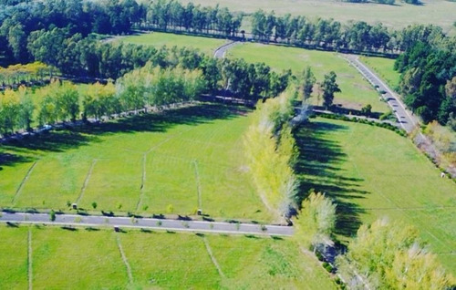 Imagen 10 de 13 de Lote | Ruta Nacional Nº 8