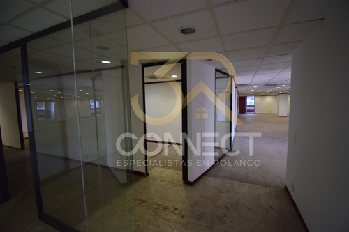 Oficina En Renta En Anzures 22c/3b/1e - Excelente Ubicación - 650m2