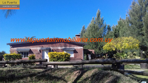 Imagen 1 de 7 de Venta De Casa En Montevideo.