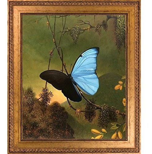 La Pastiche Mariposa Morpho Azul De Martin Johnson Heade Enm