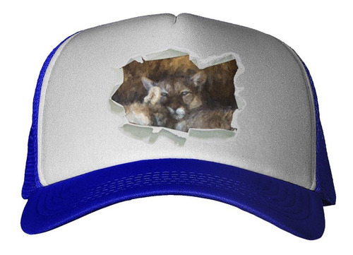 Gorra Puma Durmiendo Pintura Art