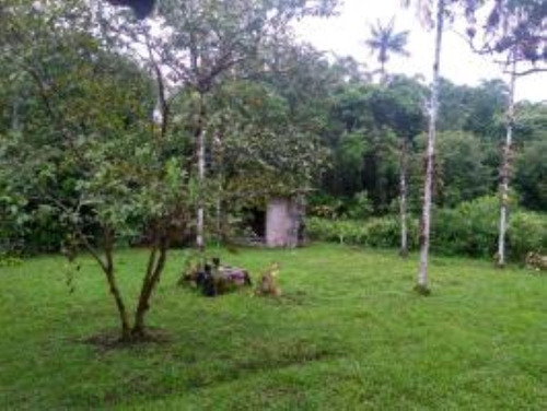 Imagem 13 de 15 de Chácara Em Itanhaém No Bairro Jardim Aguapeú, Com Tanque De Peixes, Árvores, Área De Churrasqueira, Espaço Para Piscina, Quintal Amplo Gramado Ref: 6698/ac