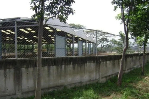 Imagen 8 de 10 de Terreno De 8305 M² En Venta Con Estructura Para Galpón Industrial En Encrucijada De Palo Negro Aragua