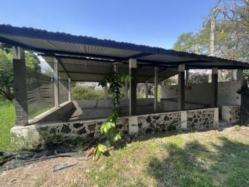 Predio Solar Urbano En San Juan, Yautepec, Morelos - Caen-1042-ni