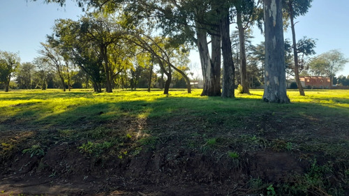 Hermoso Terreno, Con Escritura! Y Con Opción A Financiar!