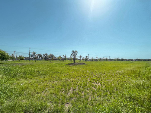 Terrenos Con Financiación En Lomas De Alicia - Baigorria