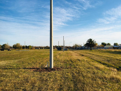 Terreno En Venta Barrio Morrovalle Salto Grande