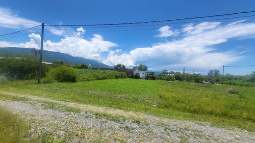 Terreno Venta Campo Quijano 450 M2