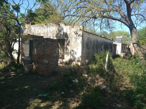 Imagen 7 de 9 de Terreno - Esperanza