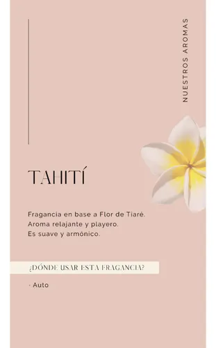 Aceite 30 Ml Tahiti + Diffuser Gris Madison