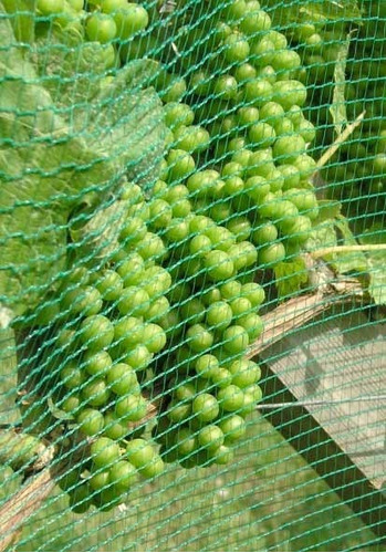 Malla Anti Pajaros Anti Granizo