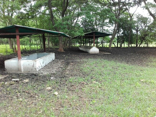 Granja Avicola Ganadera Minera Tinaquillo, Negociable