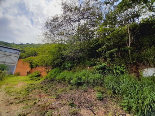 Imagen 25 de 30 de Terreno En Mampote Mls: 23-6747 (linda Sahhar)