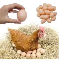 Comprar Kit 24 Ovos Falsos De Plástico Serve Para Indez Galinha