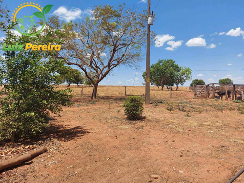 Imagem 6 de 14 de Fazenda À Venda Em Tupiratins - To -n 1.728 Hectares (dupla Aptidão) - 2058