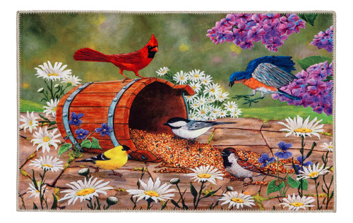Bird Seed Barrel Olivia's Home - Alfombra Decorativa Con Dis