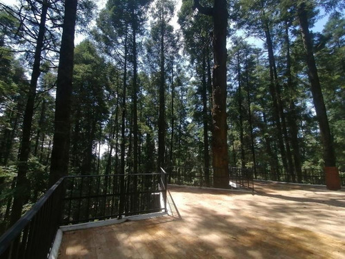 Imagen 9 de 10 de Casa Sola En Venta Cabaña Con Chimenea, 3 Rec!
