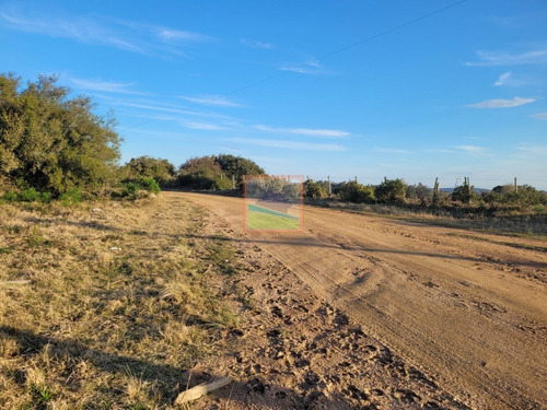 Imagen 12 de 20 de Chacra 14 Hás Con Casa Y Galpón Maldonado