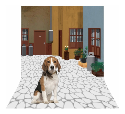 Fundo Fotográfico Pet Shop 1,20 X 1,70 M Tecido Sublimado 3d Cor Chaves - Cd 074 Desenho Impresso Modelos