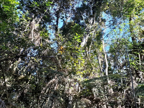 Imagem 29 de 30 de Fazenda A Venda No Bairro Colônia Murici Em São José Dos - 5836-1