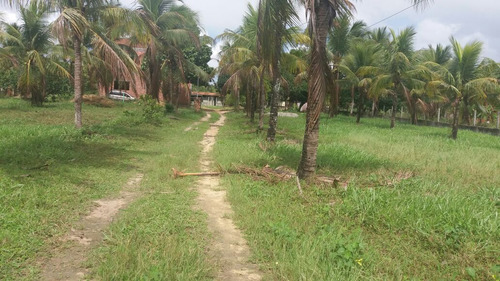 Chácara/sítio Em Esplanada Ba, Com 7 Hectares Com Casa E Rio