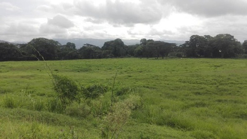 Imagen 6 de 13 de Finca En Montalbán Carabobo Fot-246