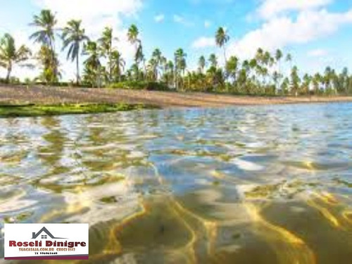 Imagem 9 de 14 de Terreno Em Malhadas No Asfalto Perto De Praia Do Forte - 504t2 - 3412420